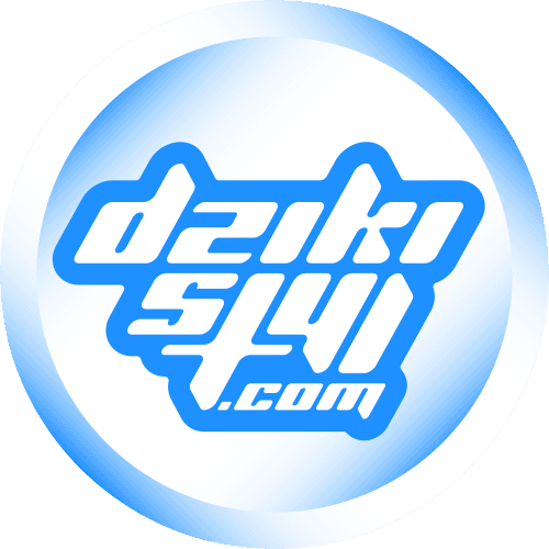 DzikiStyl