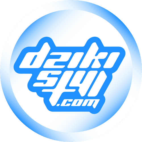 DzikiStyl