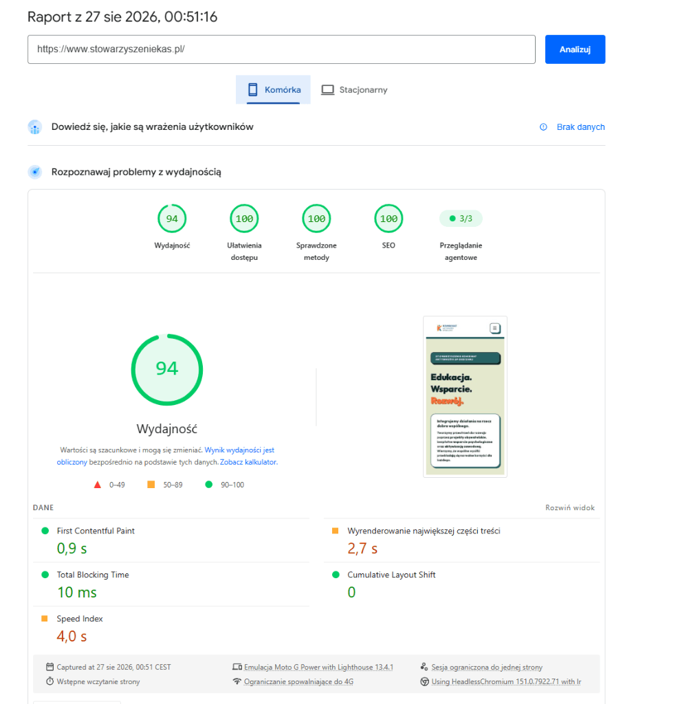 Raport Google PageSpeed Mobile 94/100